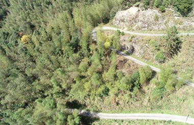 江西省推进中医药产业发展