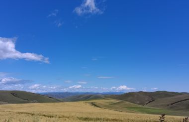 内蒙古在推动畜牧业绿色高质量发展上迈出坚实步伐