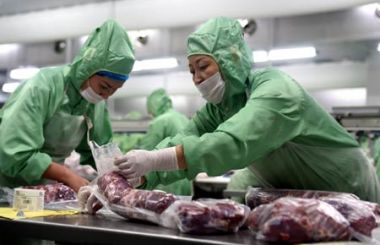 转型升级丨内蒙古畜牧业：从传统走向现代